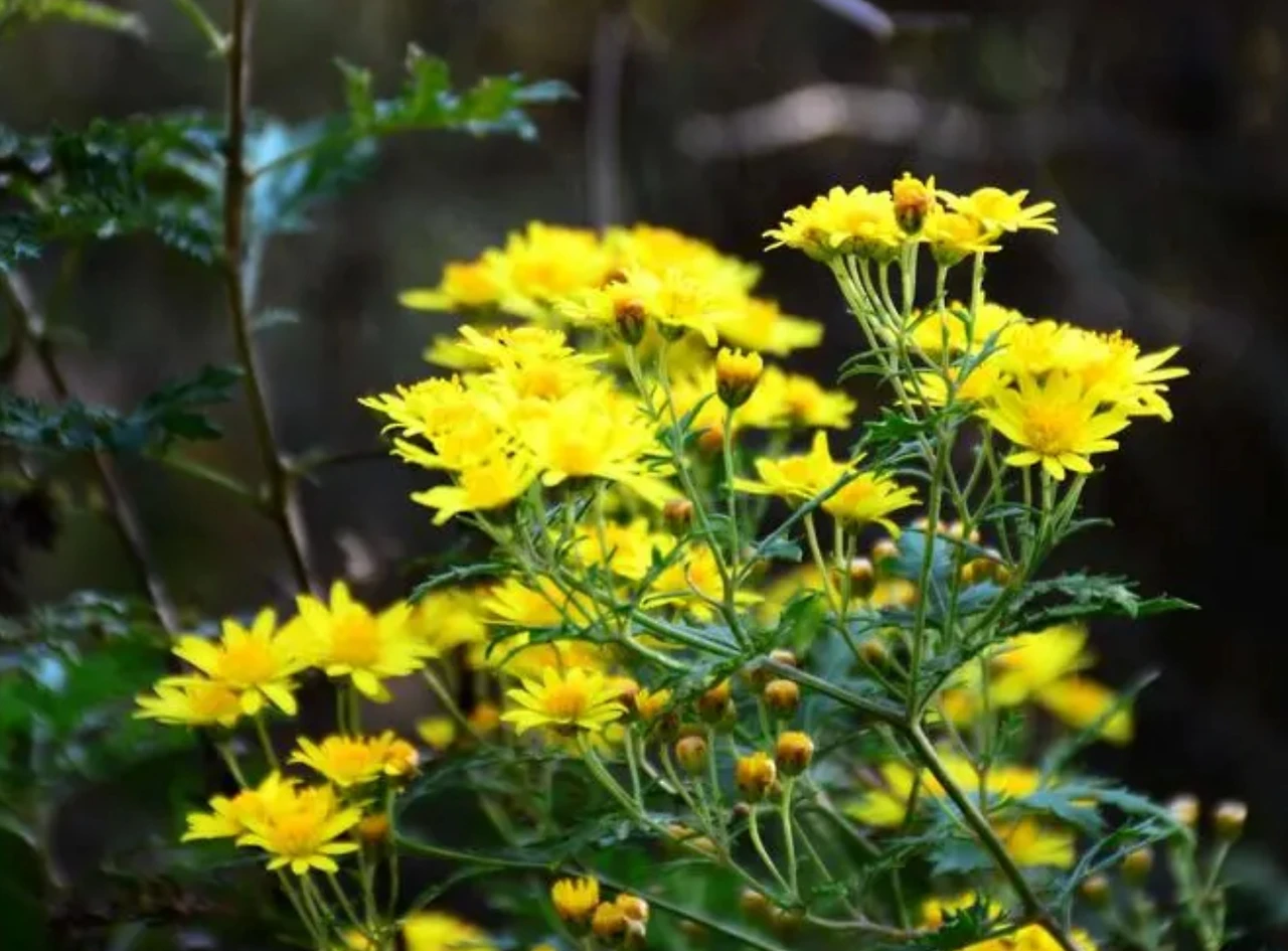 Screenshot 2024-10-14 at 22.11.59.JPG