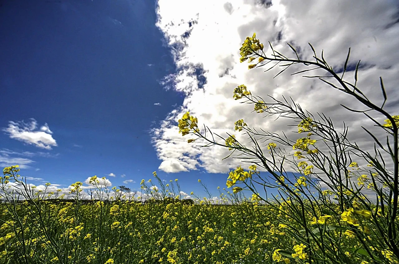 Screenshot 2024-07-13 at 00.50.48.JPG