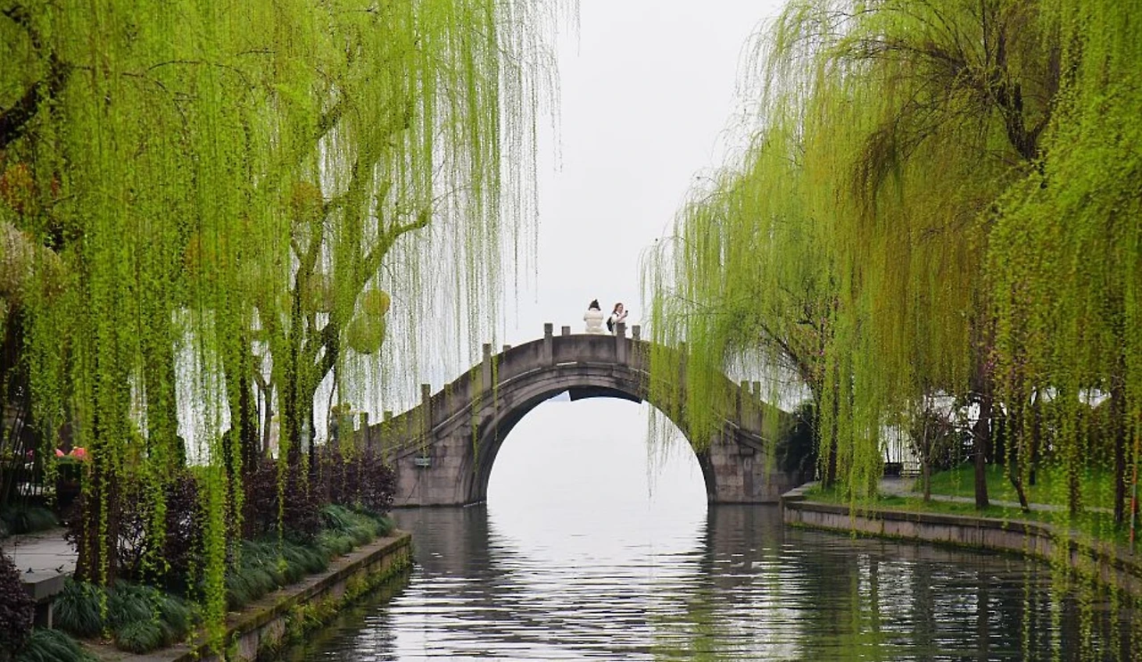 Screenshot 2024-12-19 at 00.49.41.JPG