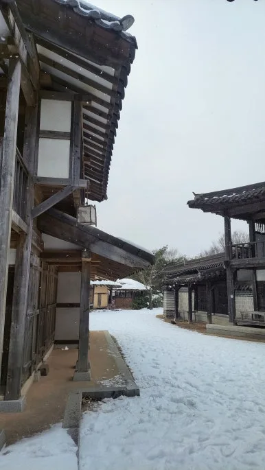 20250111_161924.jpg?type=w386