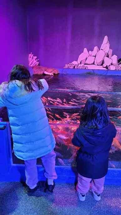 KakaoTalk_20250118_081608227_18.jpg?type=w386