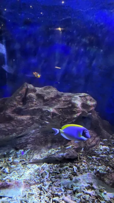 KakaoTalk_20250118_081608227_08.jpg?type=w386