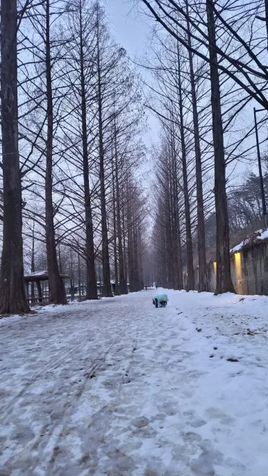 KakaoTalk_20250116_070545037_28.jpg?type=w386