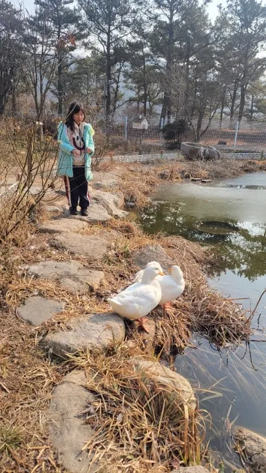 KakaoTalk_20250122_084232277_10.jpg?type=w386