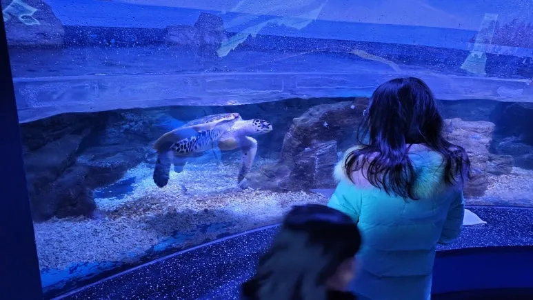 KakaoTalk_20250118_081608227_09.jpg?type=w773