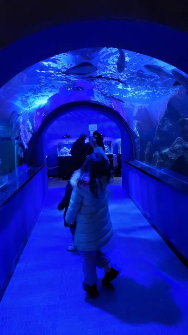 KakaoTalk_20250118_081608227_10.jpg?type=w386