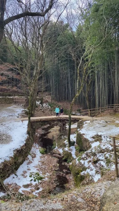 KakaoTalk_20250116_070801486_19.jpg?type=w386