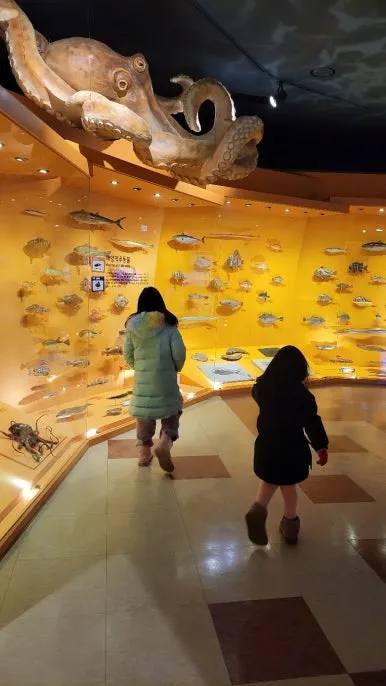 KakaoTalk_20250108_193111801_25.jpg?type=w386