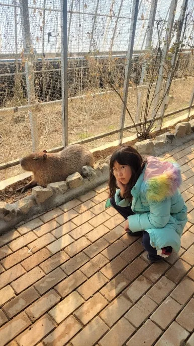 KakaoTalk_20250122_084232277_12.jpg?type=w386