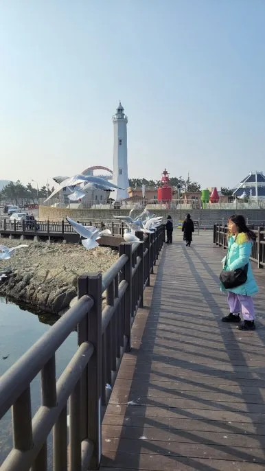 KakaoTalk_20250123_075854406_14.jpg?type=w386