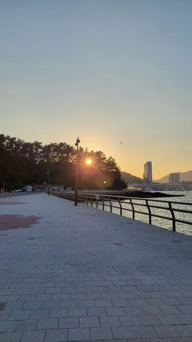 KakaoTalk_20250118_081905229_10.jpg?type=w386