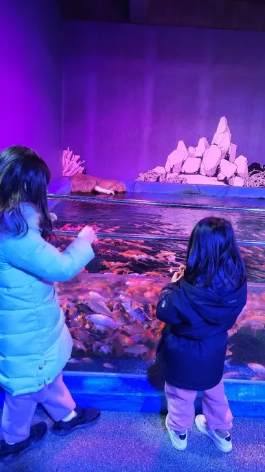 KakaoTalk_20250118_081608227_17.jpg?type=w386