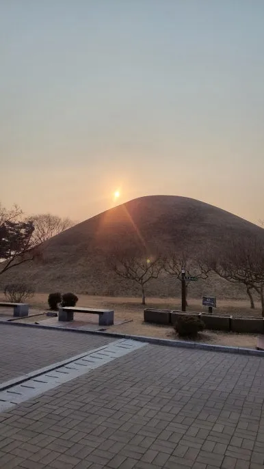 KakaoTalk_20250122_084232277_26.jpg?type=w386