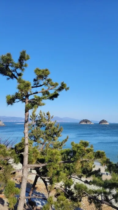 KakaoTalk_20250118_081608227_14.jpg?type=w386