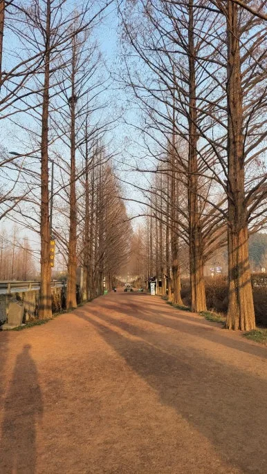 KakaoTalk_20250116_070545037_21.jpg?type=w386