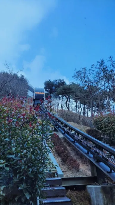 KakaoTalk_20250117_091437004_09.jpg?type=w386