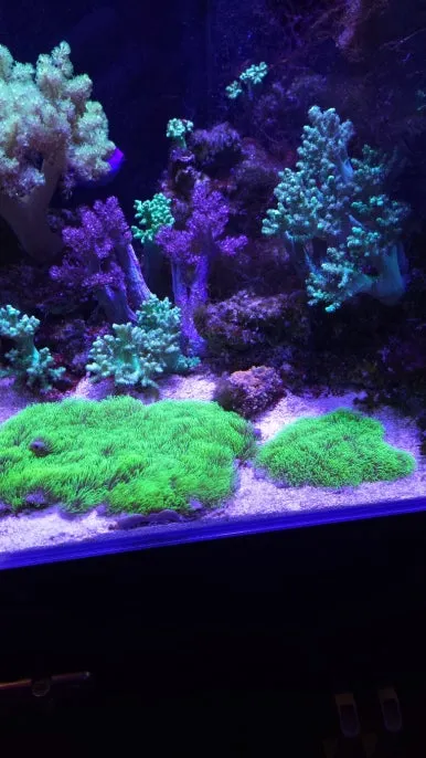 KakaoTalk_20250118_081608227_11.jpg?type=w386