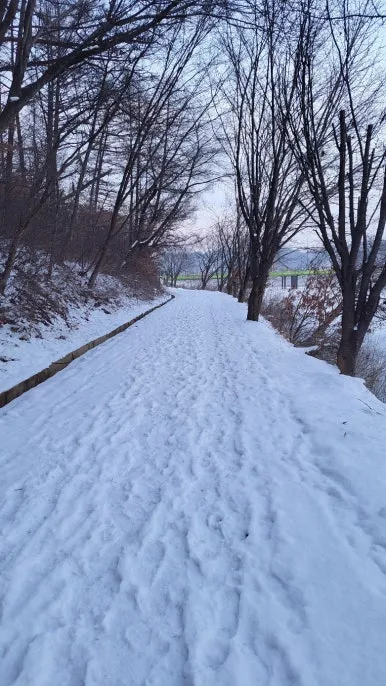 KakaoTalk_20250113_204714381.jpg?type=w386