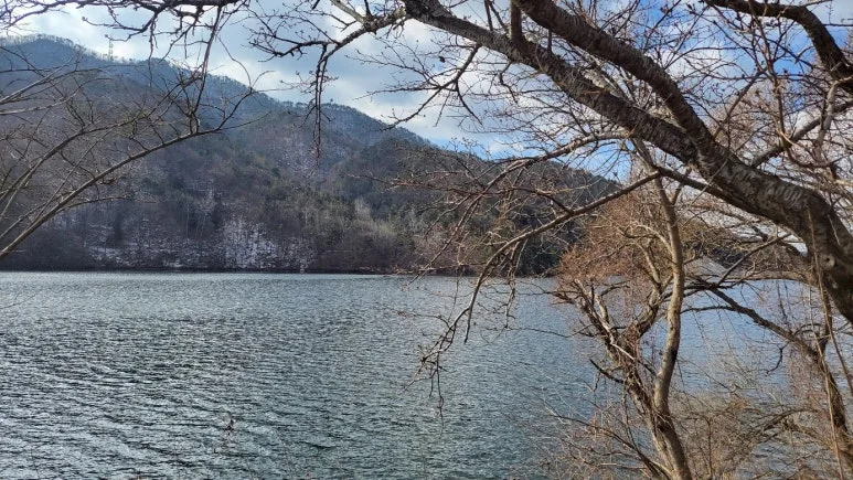 KakaoTalk_20250118_081608227_02.jpg?type=w773