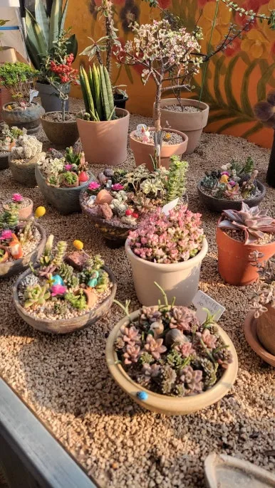 KakaoTalk_20250122_084232277_15.jpg?type=w386