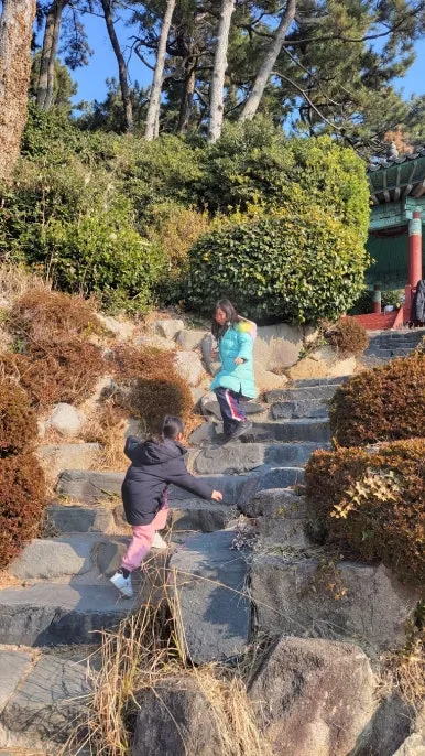 KakaoTalk_20250122_084232277_01.jpg?type=w386