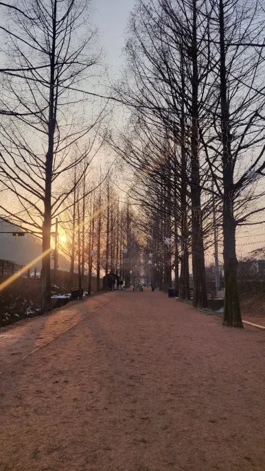 KakaoTalk_20250116_070545037_24.jpg?type=w386