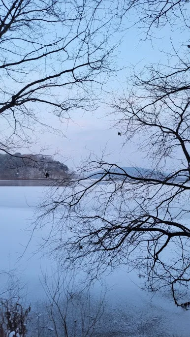 20250112_075645.jpg?type=w386