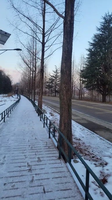 KakaoTalk_20250116_070801486_12.jpg?type=w386