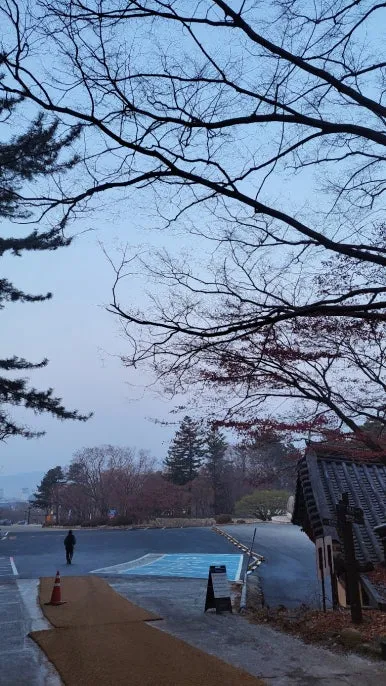 KakaoTalk_20250122_084500168_18.jpg?type=w386