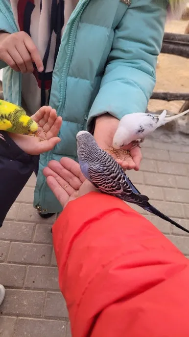 KakaoTalk_20250122_084232277_11.jpg?type=w386