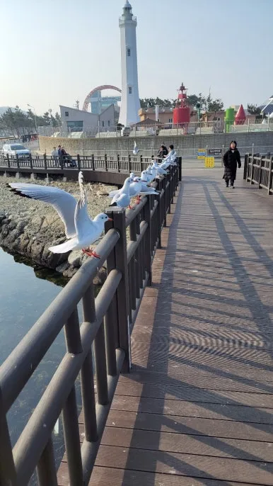 KakaoTalk_20250123_075854406_15.jpg?type=w386