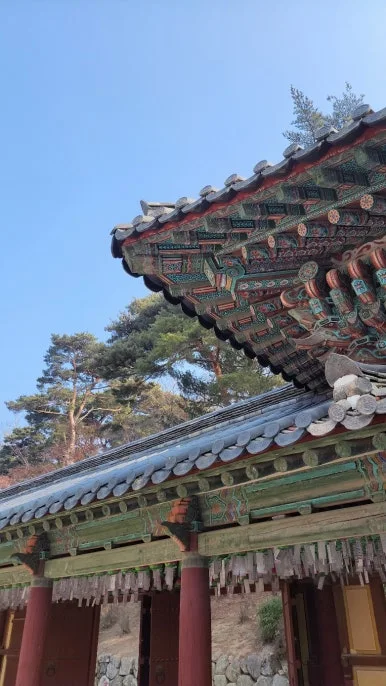 KakaoTalk_20250122_084500168_09.jpg?type=w386