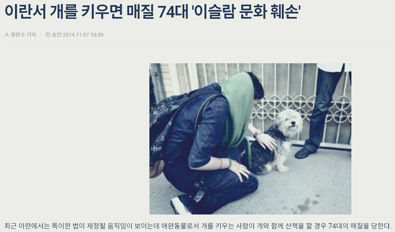 이란서 개를키우면 74.JPG