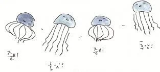 %C7%D8%C6%C4%B8%AE.jpg?type=w1200