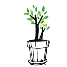 %B1%D7%B8%B22.png?type=w1200