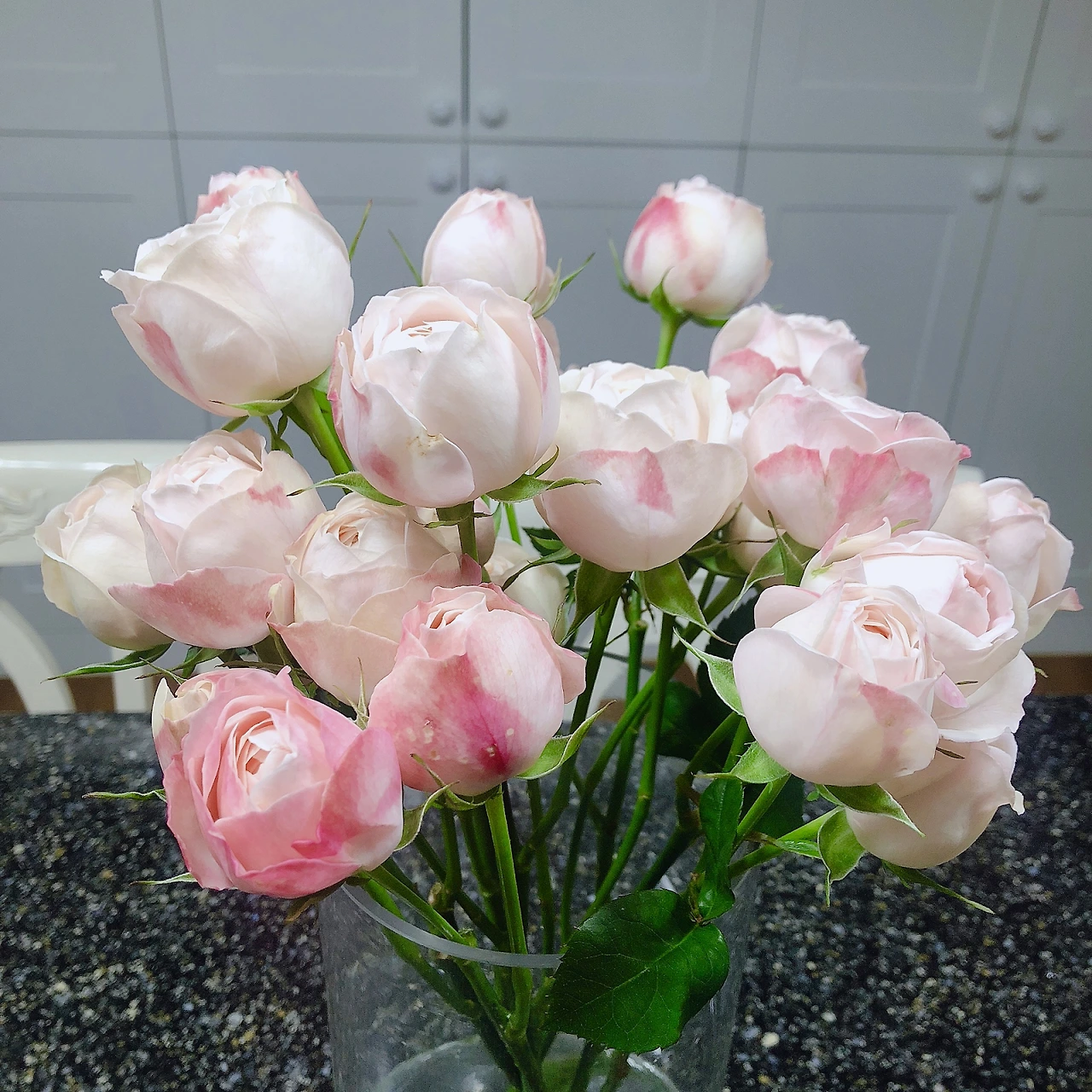 i6o_hl7RJa5Pf1TyW72vOr0ZgOsB5uexWGwD7UeoNaD4QktrH-BnUk-fuLw9mMSXBpgPp2fUf49RREC9edsMOSUWC3e6uaK96qYVzlFb95888QC6K4S6neUfwnG0uHIRTnWH32g3