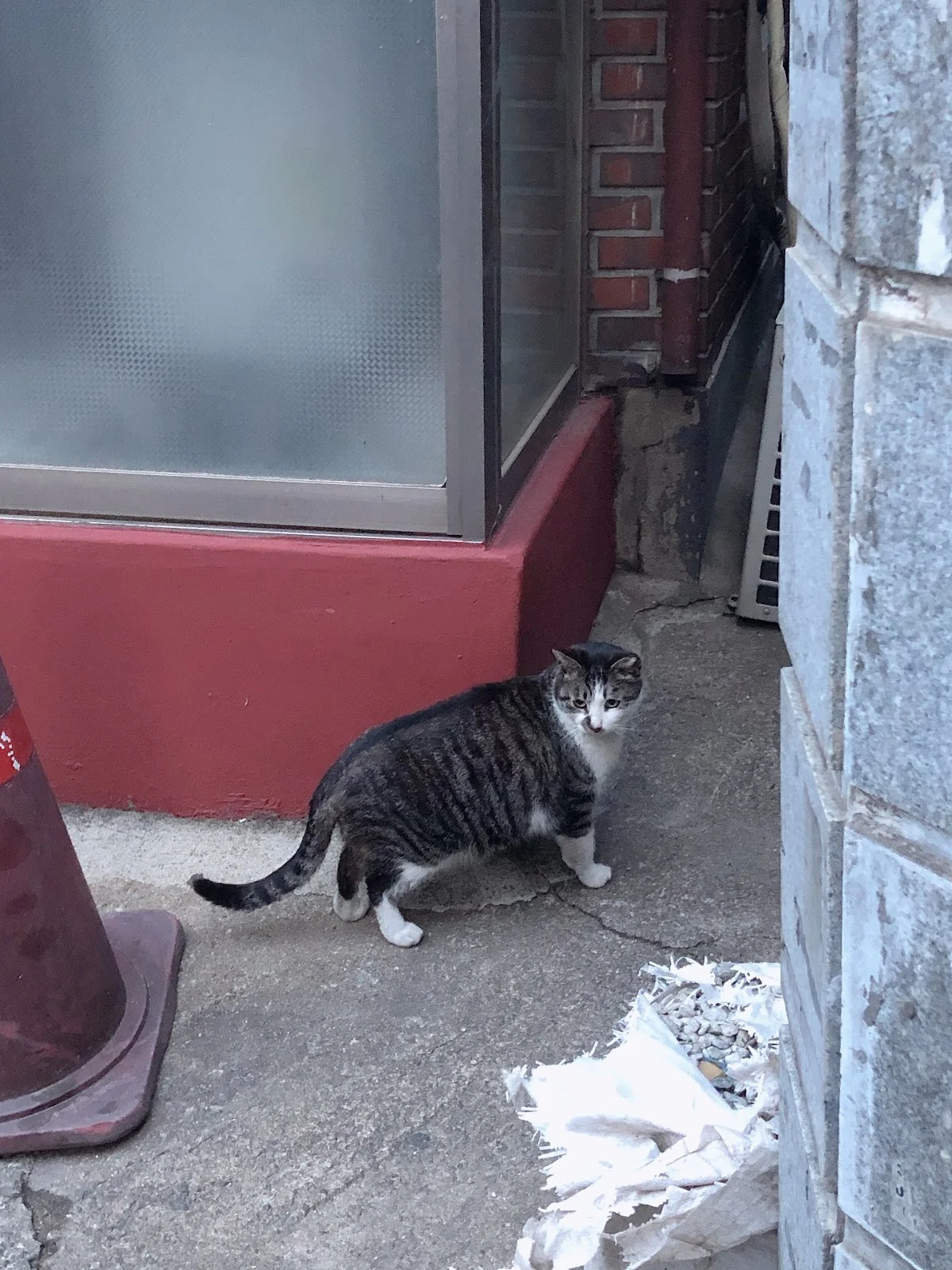 ZwJUkQb__qrr7Lo3etD74mKccddq23x_MZ3QejShWWR6KI1-MJhWKpKydt2a7p-UK86kNG1Lq9at_8MpRUeiTKPtd4s9OAA8TpPOjPOe61w1yEIQ581lj2S7vNG0RXKPaQTmX9LqkLHUEVC03gymzRdNX_Hx-8ie5YXr2DPjcBaFG5M2wi5Nt4dLkntQRw