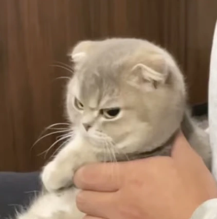 ZpwqS56tneNsKCsuUb8ft8VGJWX4ygb4CsaPd93nYe14l2DQbjVjEnHhlx1UyAVMktwrC00kFTK-svUpbELNl_oNdq32vvF-yJVn1L0ISGTsWlvJvIVAyl_HinfvY2c3qyWsmYcd6obgGveNL9UbZgRE1GARWrYYlxij80svTgXLaT2EMYAdVNA7KrVJUg