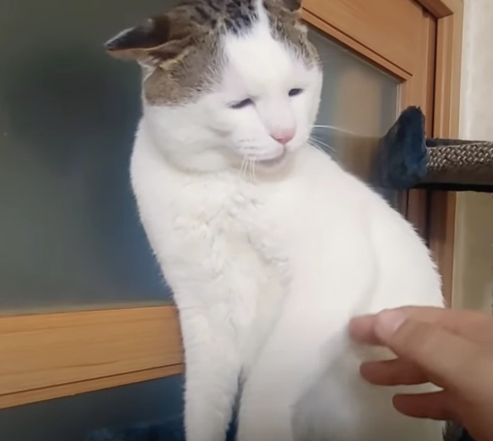 v-oRTn4ahNO4vU0_iz0R7WC2v7us8uSkZrOg8PvC3IIshalXv5ZhaeJ1g0DTSbQZhzAru1FraxyOOTsYAgGpLYJwX1ZgTGWPoebHvNEN0IgmY2EM4VIfmD8af12cCE4Hs8cBOj61fA-99gyDQ5eNsWbBhz53lyfquRurn-MeLA-bpkQ7xBcrpdI4eIZ00A