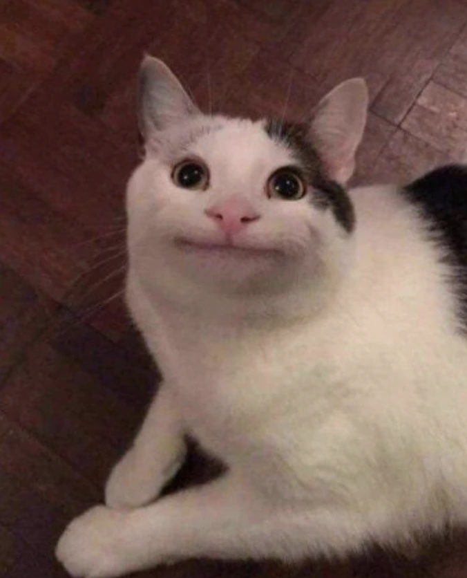 bWehWKZI0mveNx5Q-hb9dBTgrz_x9kyEX9IphtYnYKm-3o9LB1lfjpM9drAOFV69Srg5jSkSYfzmJopP5GILEpJ1p_dQVNXDIu56XT6WhaXcR4-Vzhw7a8-aKBfWniuqcktZcdkArYKrXJAE0Uh52B7xmfiIY2marXwplc6WnvKm2Lew_cLZMJJWH435YA