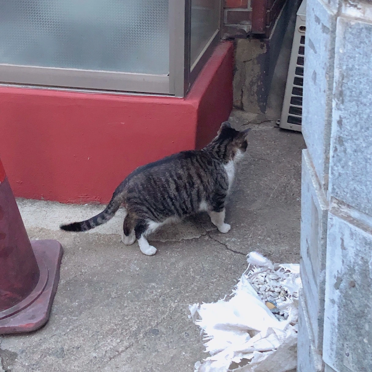 qPv3yeSTzN4ARIdxd6cf8WBufLC41-vAWdInrhIzdNUYxqby_oeN4uSLElvp5DQvG4KECelxG5XJ4H6clP8CdAF8Qvk22Im58CCJHWqdPExQEg-yaLEjO_JgIjOXZk8oNoQP86RInhd7BwT6CZljEEWAF10BlDnMENOdT6jhnnTR5NM99Fu1f-Nged1oXA