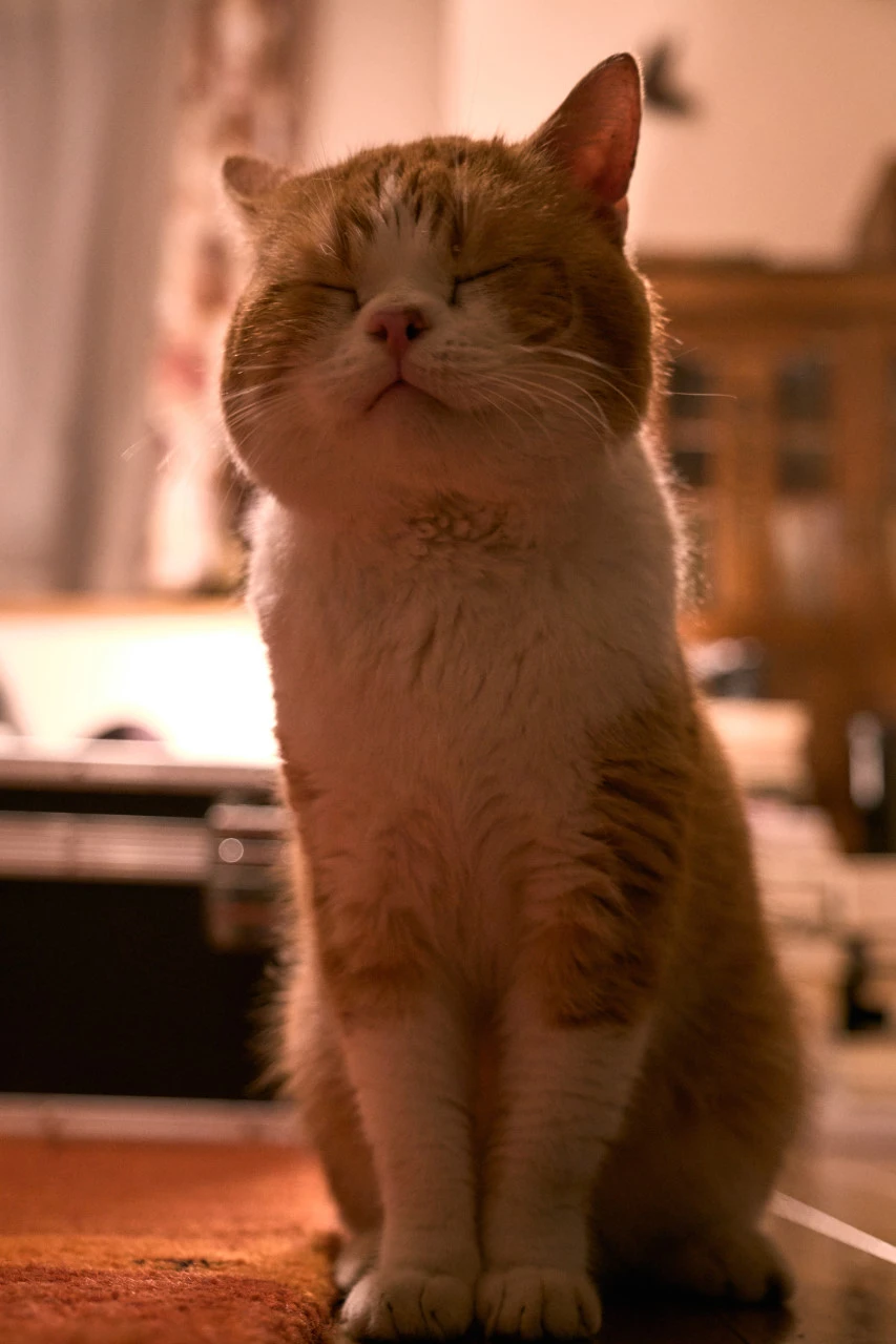 cV8ZMXiGYsbZ_Gw2NKTkXrlk37Uzr4GyJzKafxckBM-dW_qPgX-KrbfCLgtGyoplmyXn4GwVay_sl9ZoGDt1mgp9fVwdStIIfitXS5HaVUqkTz2YaKSWlAjnYPfDp0l0nuJGLNOh3qJTg0iP_jniXoFNFOr0ODXCPUQloHq0G7nJ4NP0K7Oo6kERGglS2w