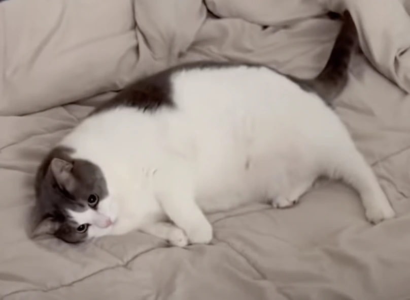 GmvolJefsA89PV3xGTui6oaGDnEZ8nnNxbWG1YplO3ymQ3uOWMamBRVGvsKGJKSoRH20XTsIsFse1VXu9kslm3nXnUzEJ_XbBFWryqXTiPpN889Pp1dxn5Jp1-pdhWC9LQ8dnP1gCeFRZqshKWJNgl5W4tI76FpvkcYRaDhTEGm7c97ldTjNir4H45uKhA