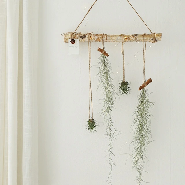 SmoJWyulGzzklXyUt2tutdg8Vc1qVJ3ki5NqxmFV10cpVqoXD1nB9qkPHmlMaOBAVzr-X4uAjBsNc2rwiH67ttadH4bboXo__k4c8QttiMgbOvcqcGYhpOQY29WOsXYTENBLhRMB