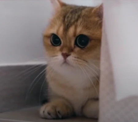 Z-u129Q6nLxjo276wLHYG4zQqXxu092inW54nLbrRDOv-0u2DOq0acJCtRifufsa8CETqVvLgl8R3kEni20ulhro3TXmvP1zTrwNLUDbZtRtNkHJumBmL_GZPKwa-pmFdDoVTila8_UhFIKRkVnJaDiBb3vmeDhRzJOAiHWX-vSZCihGMRAvM8NGxAE-lA