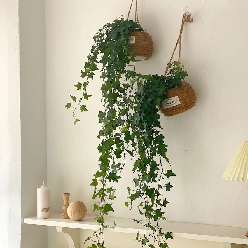 Eqm3CN1JeSTCmvPlPgoCZct5A_s56P5kQ_M9rlW5pz1hIMYsNoOBF_IZmk_uLIfVjdtjsDFGQytY8eqxVPH78LgAHxv5pRgJuqV1-xdp2uuKqKNfBmKZIyb7VSmS7HvrStZAEijC