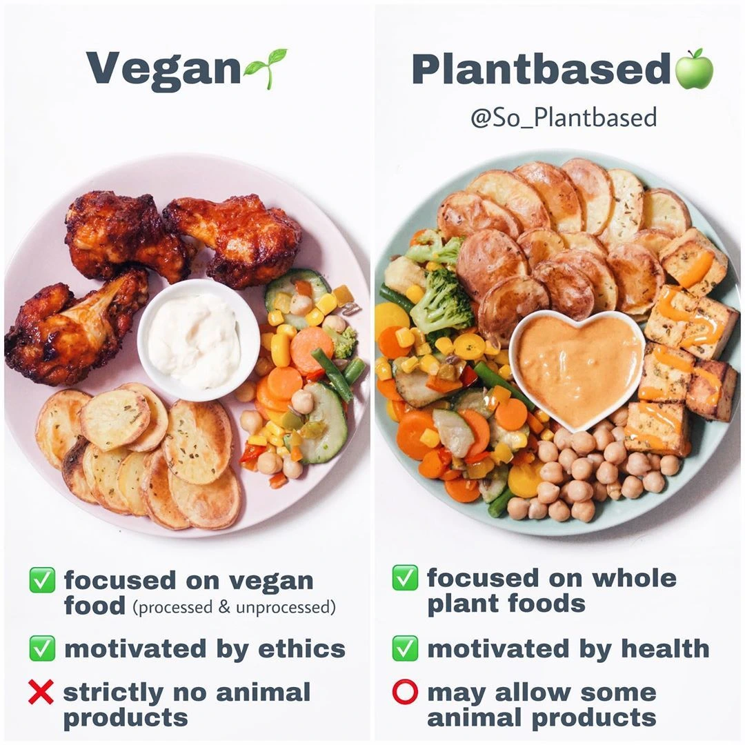 tmj5lN6-aEaYQ0iOAwle6MkiLJ4oJS4DT03_0yIVQ9Ghapl9y5XY07b3hJp3ebQsUyke_0xFYgFIMhPyj4PIA-wRu3rTKiJI4STwLNHJe8q13H8x8N7pv8c8njkmUNeeAeVdWWv-nShQHGxV9w