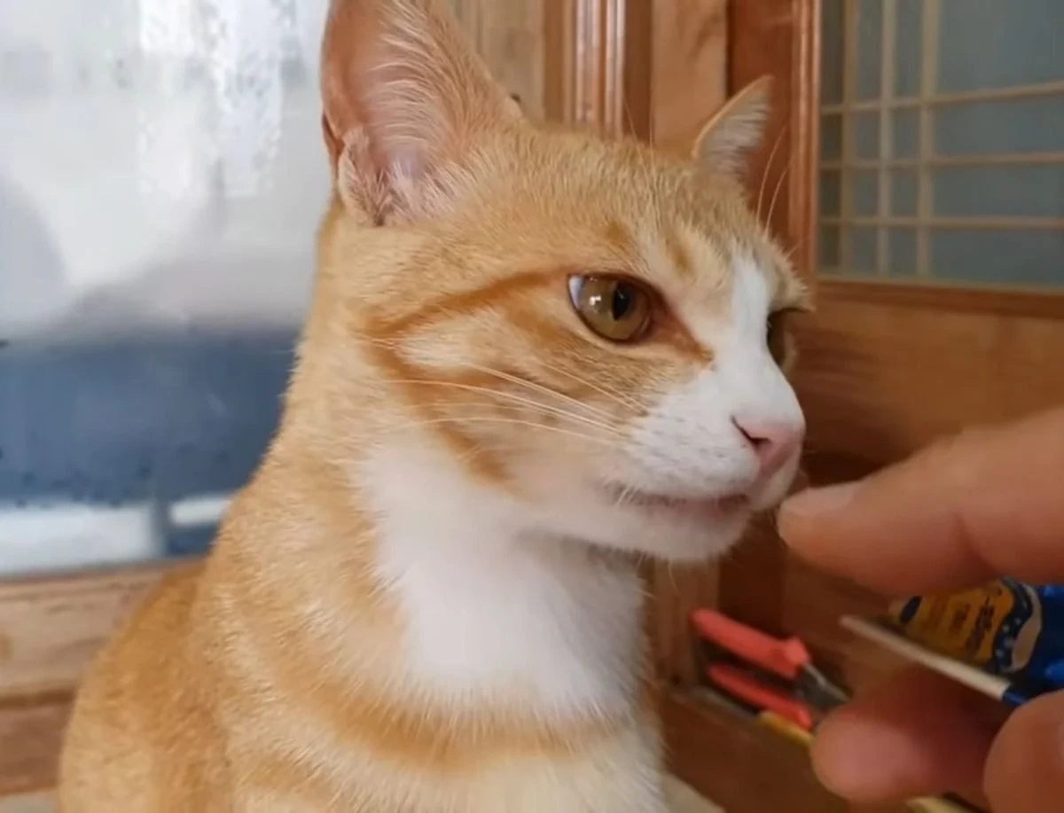 Qnlwe8KbXifeEMRPjXP58HJ8bqCkmgh57UQVa_G5up83J-ysXrvj_Od0I6GpdJ0oSjqLMaY4p15RUo7QjV6ocu4GdiUrNkA8qnzg4a_R6lrKIpCazFd0CkIJn562R3vevhoLc3hv8ddZ6nGxZVN9SB2sW3jYq8bgrSDcV9O0ABzYFHBjXea9FPQxG5vV0A