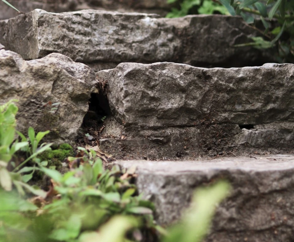 SE-983ce749-43f2-4d5e-b5c4-6c9847f66de3.jpg?type=w1