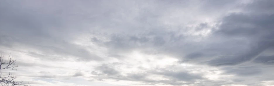 SE-9786ca10-94e3-499a-9425-cb855acb4247.jpg?type=w1